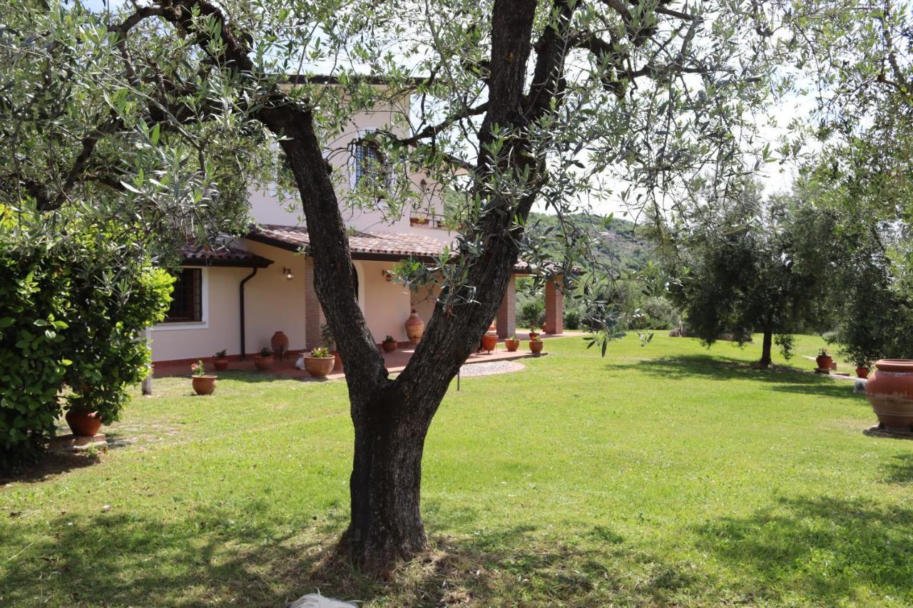 Agriturismo Il Bagolaro Nerola Екстериор снимка
