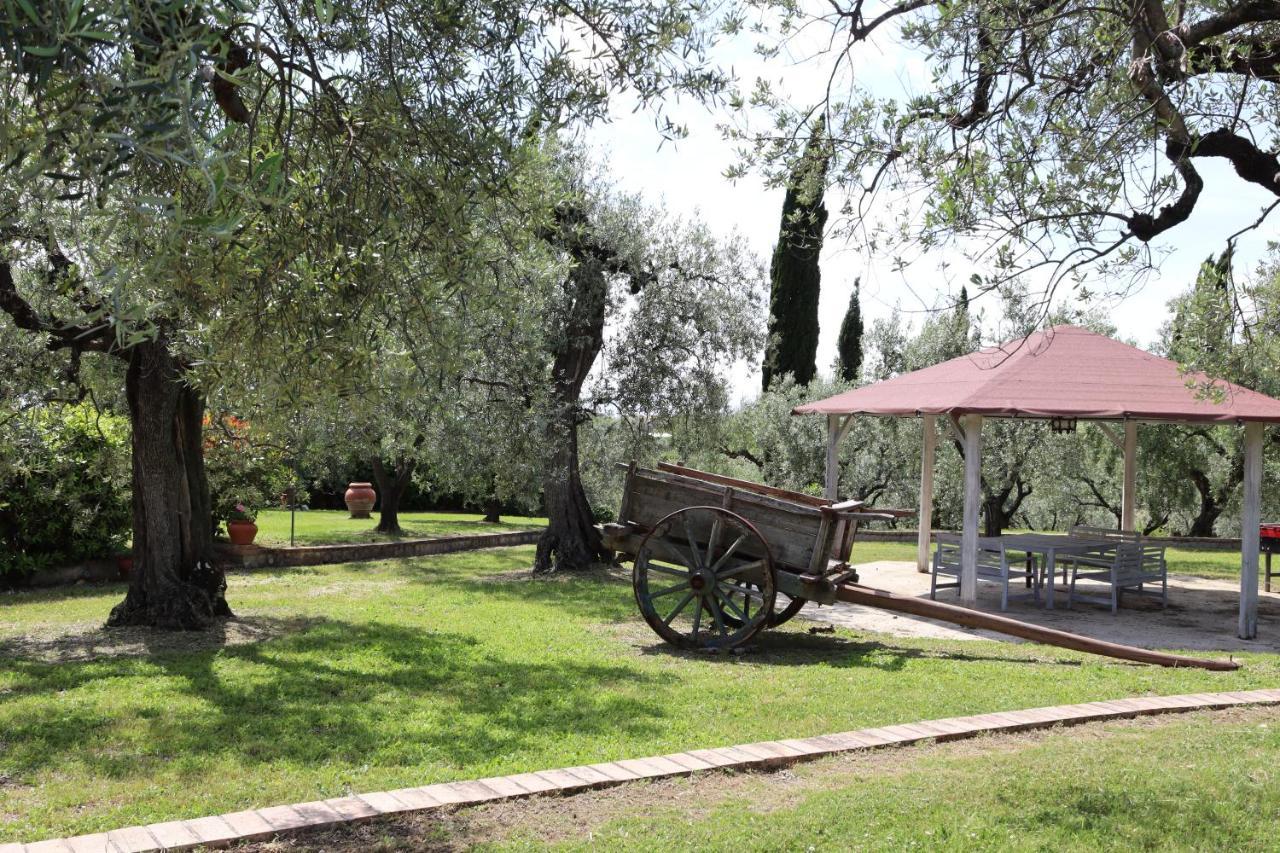 Agriturismo Il Bagolaro Villa Nerola Екстериор снимка