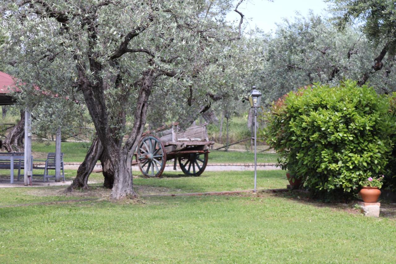 Agriturismo Il Bagolaro Nerola Екстериор снимка
