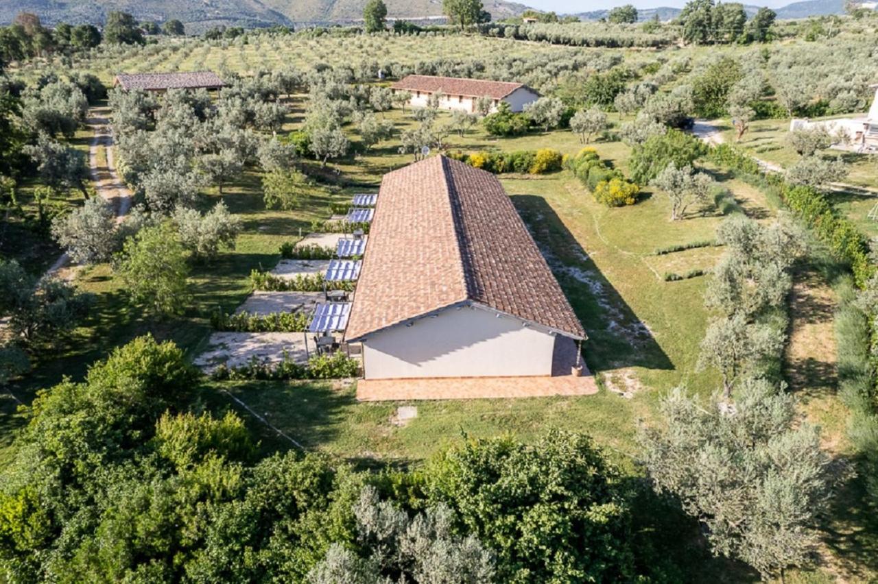 Agriturismo Il Bagolaro Villa Nerola Екстериор снимка