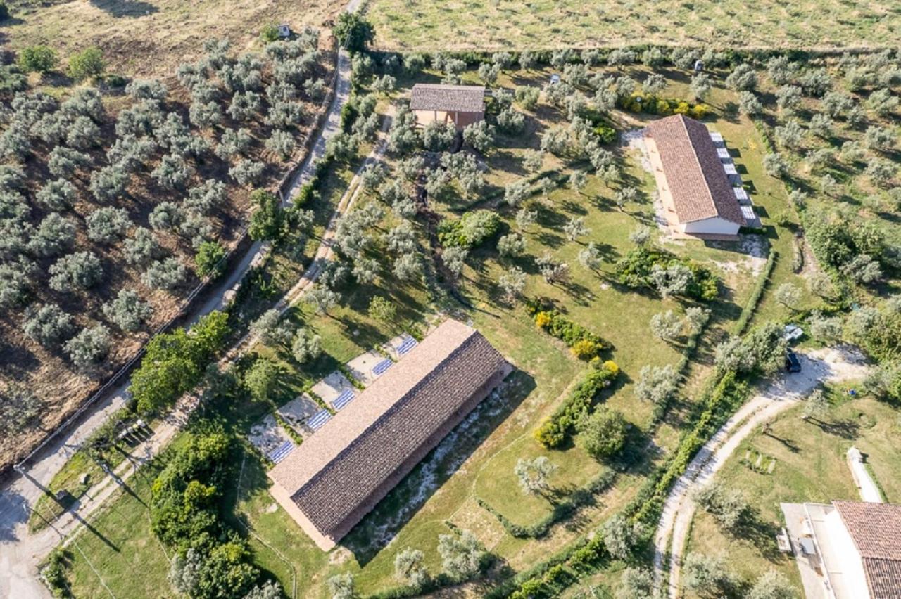 Agriturismo Il Bagolaro Villa Nerola Екстериор снимка